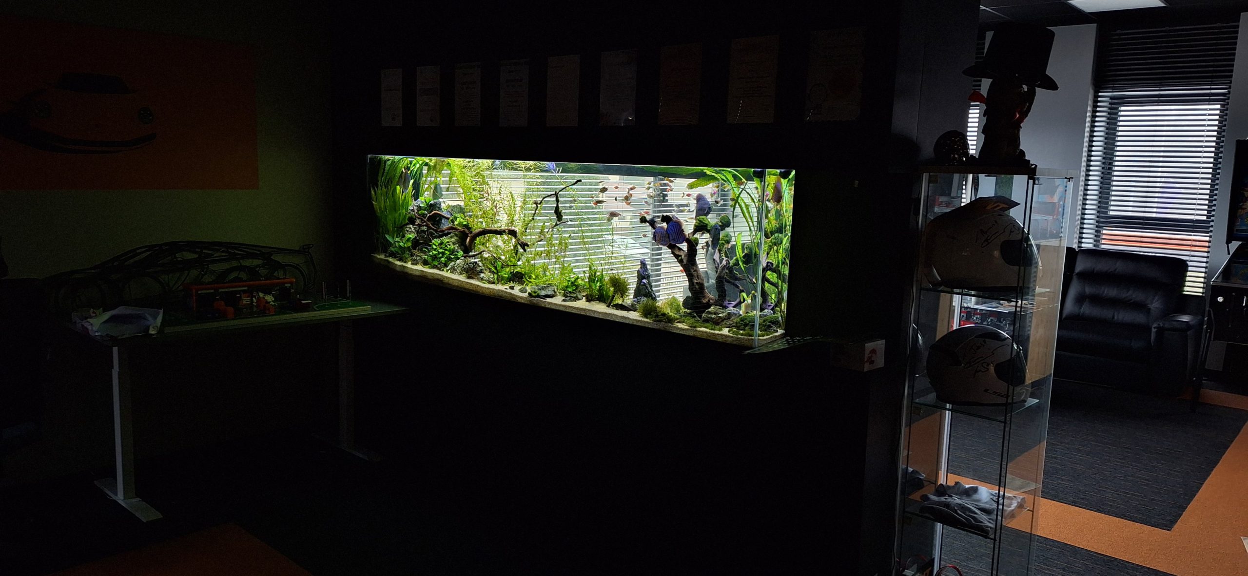 akwarium-biuro-nemo-aquaria-4