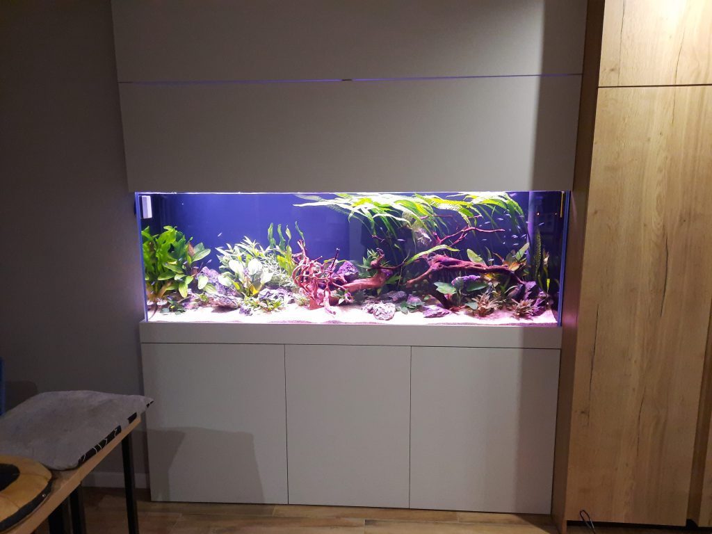Akwarium w zabudowie Nemo aquaria